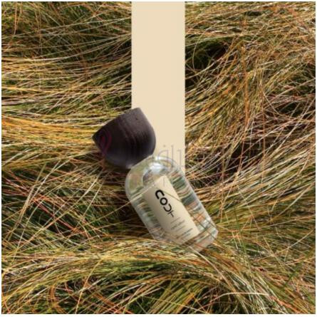 Esprit Vétiver-نوت اسپریت وتیور