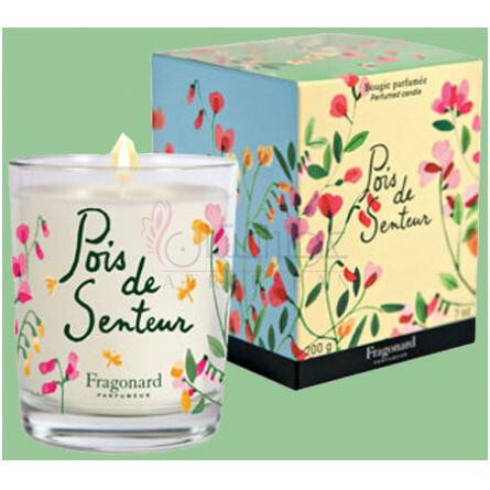Pois de Senteur-فراگونارد پوا دی سنتر