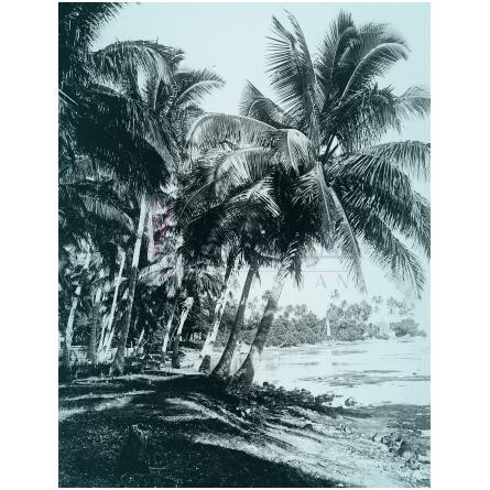 Or Des Îles-چریگان اور دس ایلس