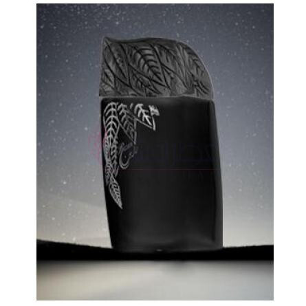 Razeen Midnight-سید جونید الام رزين میدنایت