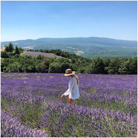 Lavandeluce-آپریل آروماتیکس لاواندلوس