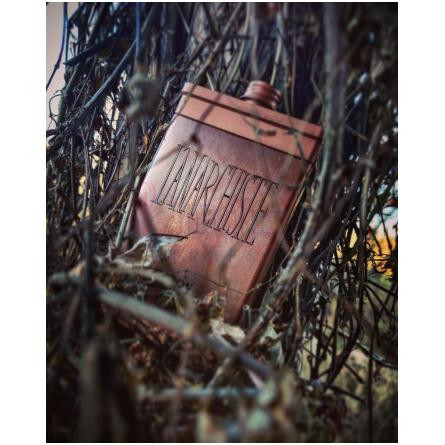 L'Anarchiste-کارون له انارشیست