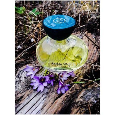 Wood Of Life-انیما وینچی وود اف لایف