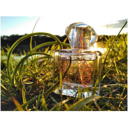 Today Tomorrow Always Daydream-اوان تودی تومارو الویز دی دریم