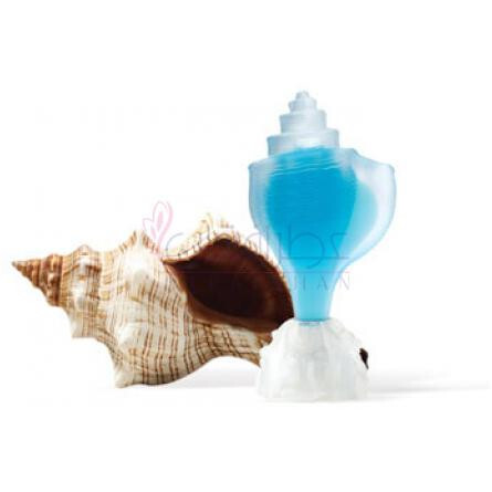 Conch-سی جولز کونچ