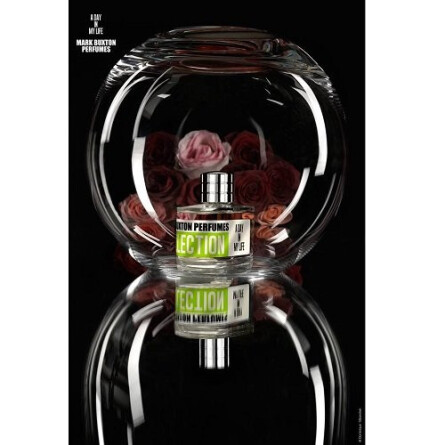 A Day in My Life-مارک باکستون ای دی این می لایف