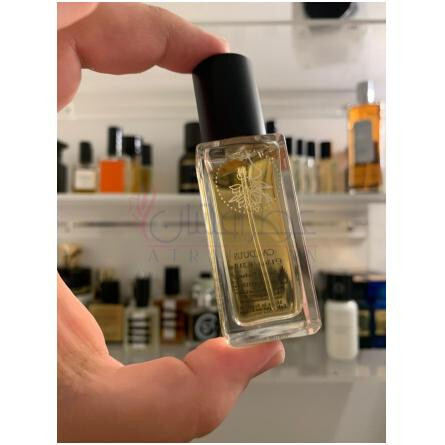 Carduus-جوروم استودیو کاردوس