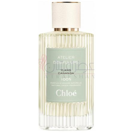 Ylang Cananga-کلوهه یلانگ کانانگا