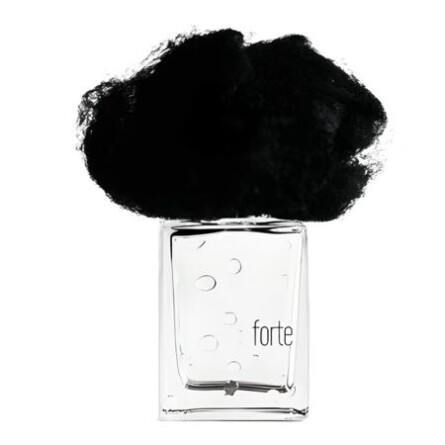 Pioggia Forte-فیلیپو سورچینلی پیوجیا فورته