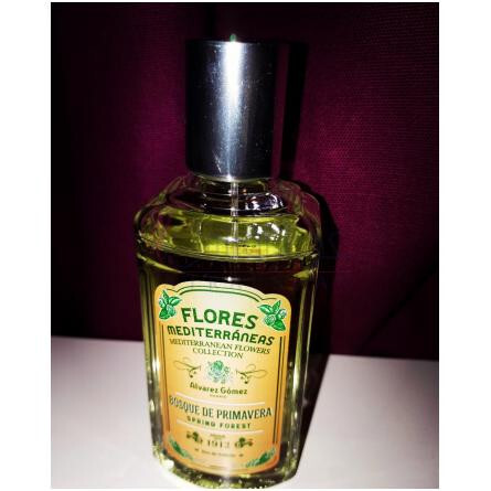 Bosque de Primavera (Spring Forest)-الوارز گومز باسک دی پریماورا (اسپرینگ فارست)