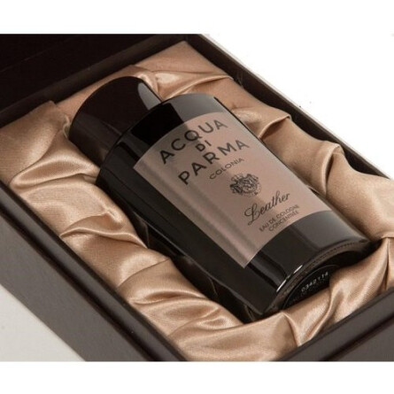 acqua di parma colonia leather special edition