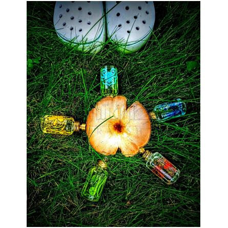 Beach Lavender Lemon-پسیفیکا بیچ لوندر لمون