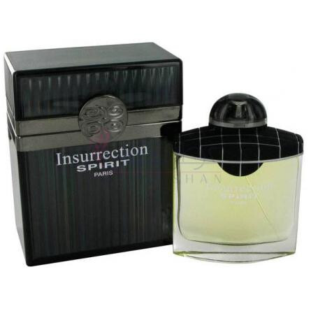 Insurrection Spirit-رایان تردیشن اینسورکشن اسپریت
