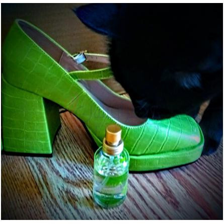 Bali Lime Papaya-پسیفیکا بالی لایم پاپایا