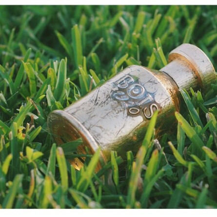 Vento di Fiori-بویس 1920 ونتو دی فیوری