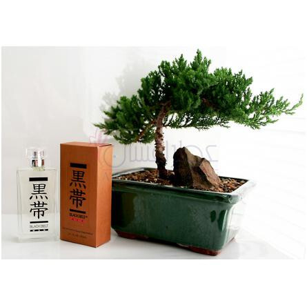 Black Belt Man-بلک بلت فرگرنسز بلک بلت من