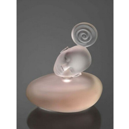 Songe pour Elle-ماجدا بکالی سانگ پور اله