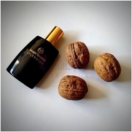 Splendida-سرجیو تاچینی اسپلندیدا