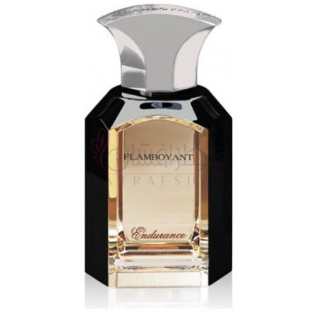 Endurance-فلمبوینت انجورنس