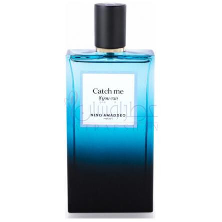 Catch Me If You Can-نينو اماديو کچ می ایف یو کن