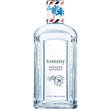 Tommy Weekend Getaway-تامی هیلفیگر تامی ووکند گتیوی
