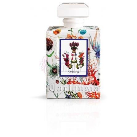 A'mmare-کارتوزیا اماره