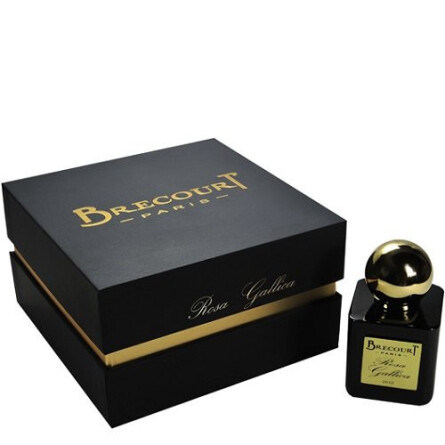 Rosa Gallica-برکورت رز گالیکا