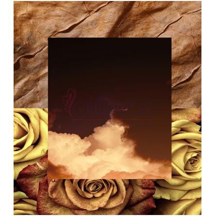 Orion-آکوالیس اوریون