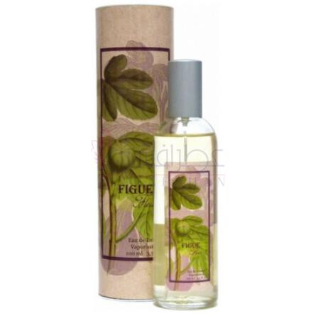 Figue Fleur-پروونس اند نیچر فیگ فلور