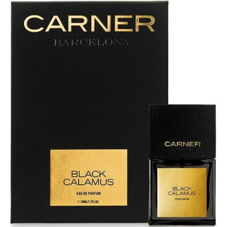 Black Calamus-کارنر بارسلونا بلک کالاموس