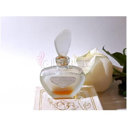 White Roses – Белые розы-رد کارنیشن وایت رزز