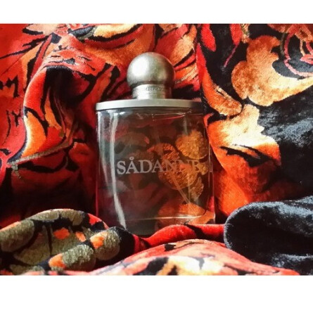 Sadanne-اسلامبر هاوس سادان