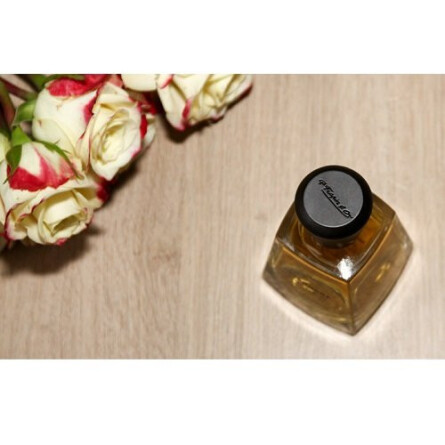 Nevermore-فراپین نِورمور