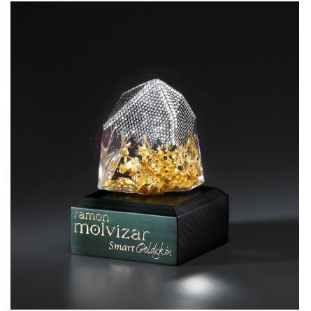 Smart Goldskin-رامون مولویزار اسمارت گلداسکین