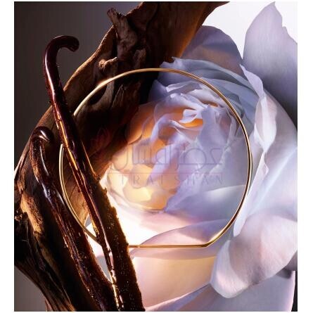 Absolue Rose On The Moon-لانکوم ابسولوت رز ان د مون