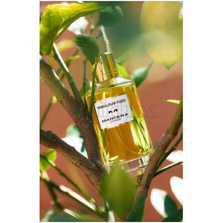 Fabulous Yuzu-مانسرا فابولوس یوزو