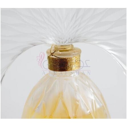 Commedia-لالیک کامدیا