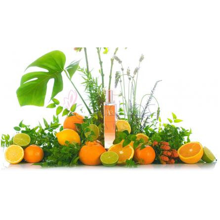 Be. Laranja-بی کلونیاس بی لارانجا