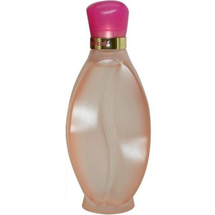 Cafe-Cafe Adventure for women-کافه کافه ادونتور زنانه