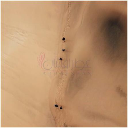 Maha-فری شیپ میلانو ماها