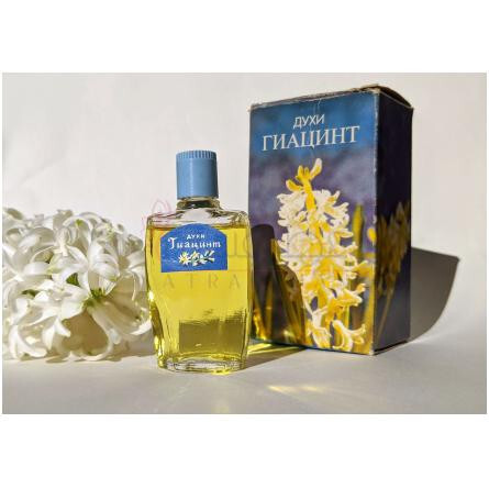 Hyacinth Гиацинт-سورنویه سیانی هایسینت 