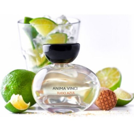 Tudo Azul-انیما وینچی تودو آزول