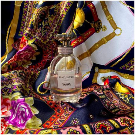 Coach Dreams-کوچ دریمز