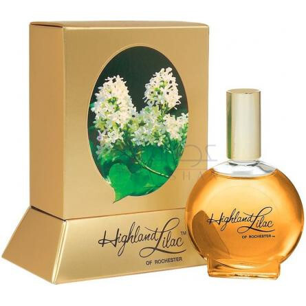 Highland Lilac-هایلند لیلاک اف روچستر هایلند لیلاک