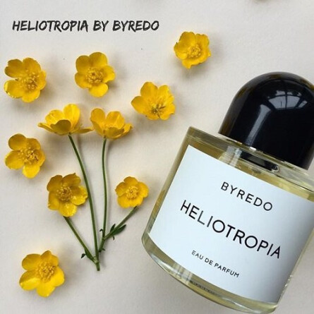 Heliotropia-بیره دوهلیوتروپیا