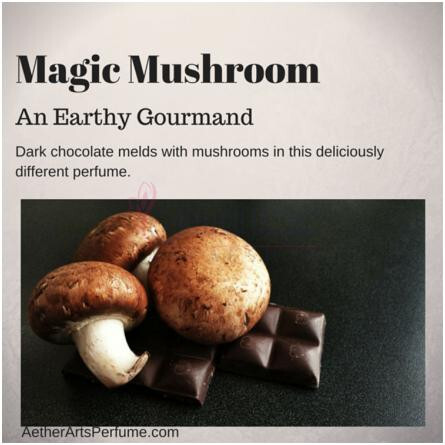 Magic Mushroom-ایتر ارتس پرفیوم مجیک ماشروم