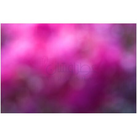 Multiple Rouge-هومیکی اند گریف مالتیپل رژ