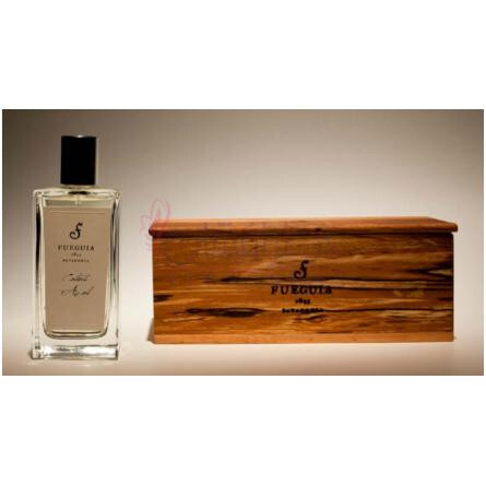 Cactus Azul-فوگیا 1833 کاکتوس ازول