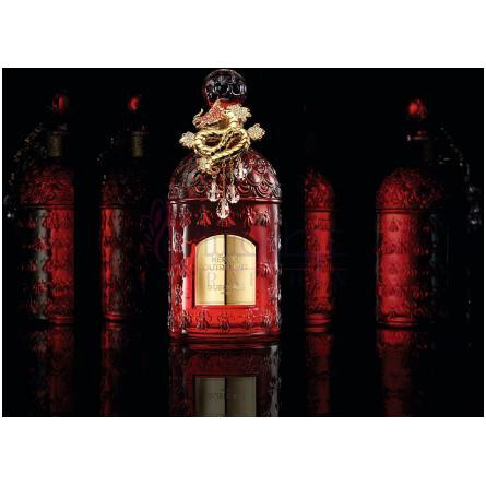 Néroli Outrenoir (2024)-گرلن نرولی اوتر نویر 2024