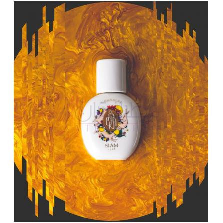 Chanalaj-سیام 1928 چانلاج